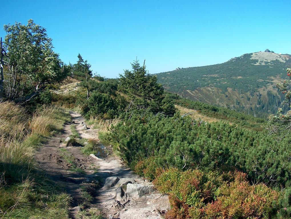 penzion Podlesí Kořenov Exterior foto