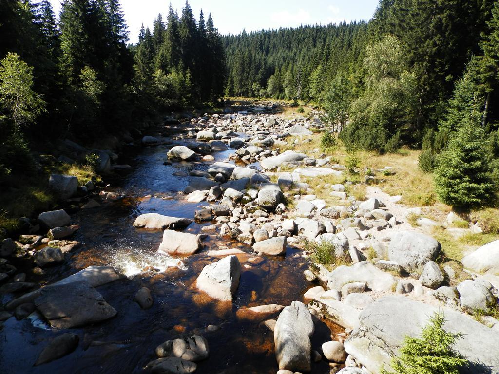 penzion Podlesí Kořenov Exterior foto